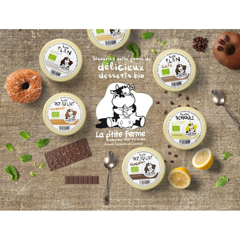 Riz au lait vanille BIO 160g