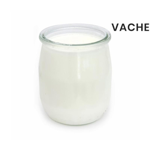 DLC 04/06 Yaourt nature vache 125g