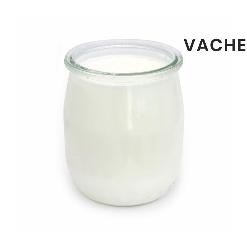 DLC 04/06 Yaourt nature vache 125g