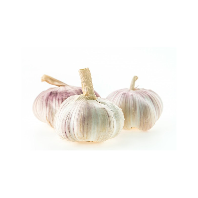 Ail semoule BIO FRANCAIS 100g