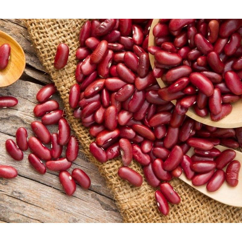 Haricots rouges 500g BIO