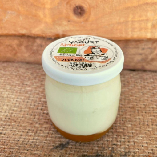 DLC 20/04 Yaourt aux fruits abricot 125g