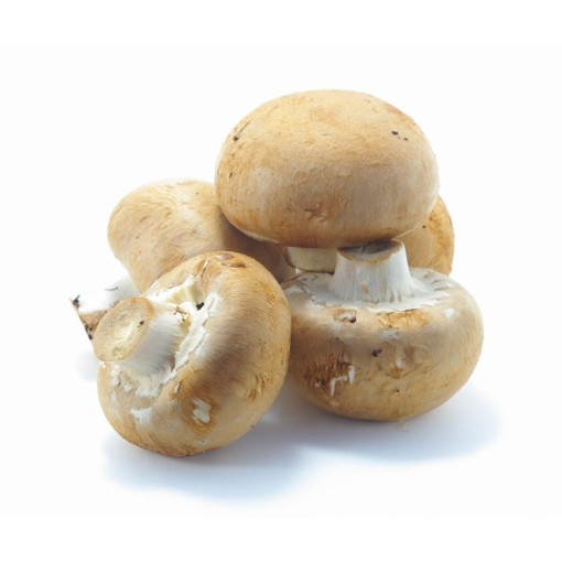 "DISPO dès MERCREDI 17h" Champignon de Paris env.450/500g BRUN