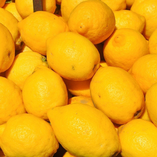 0 GASPI ! "Mûr à point" Citrons jaune Bio - 1kg