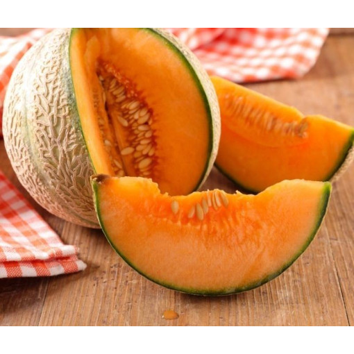 Melon Cal  15Q x 1 pièce (PETITS)