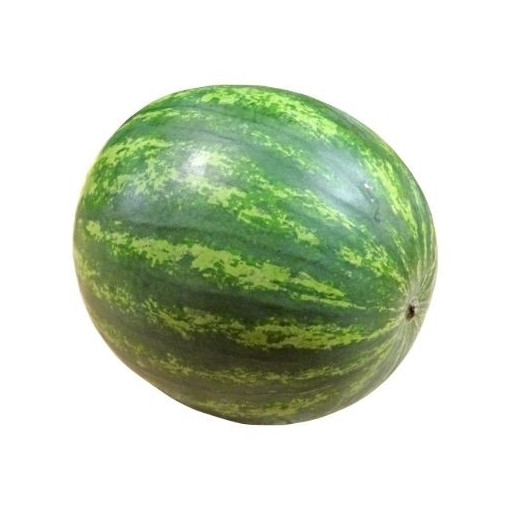 Pastèque x 1 pièce 3/4kg
