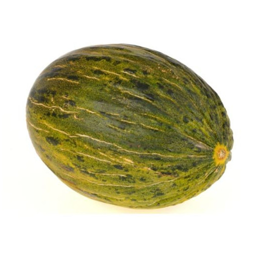 Melon vert env. 1.5kg
