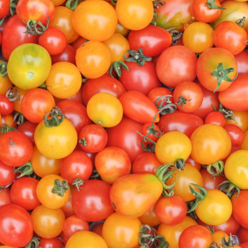 Tomates cerises ROUGE 250g