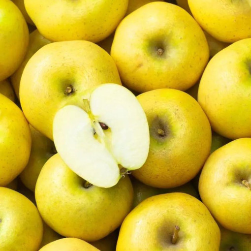Pomme "Chanteclerc " env.1kg