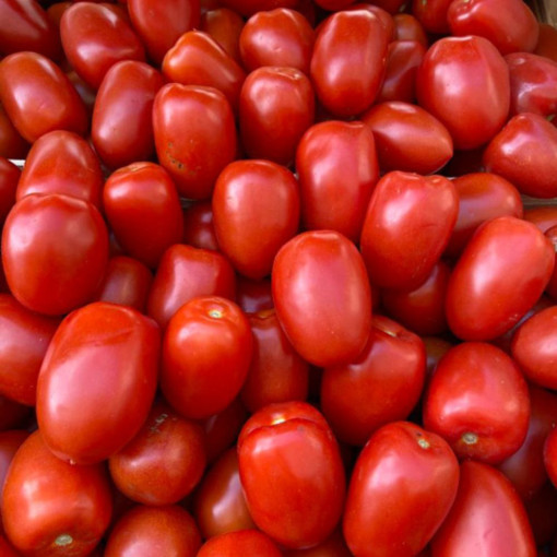 Tomate Roma env. 950/1kg