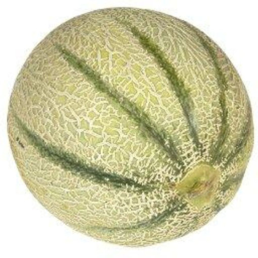 "PROMO" Melon MOYEN env.1kg x 1 pièce