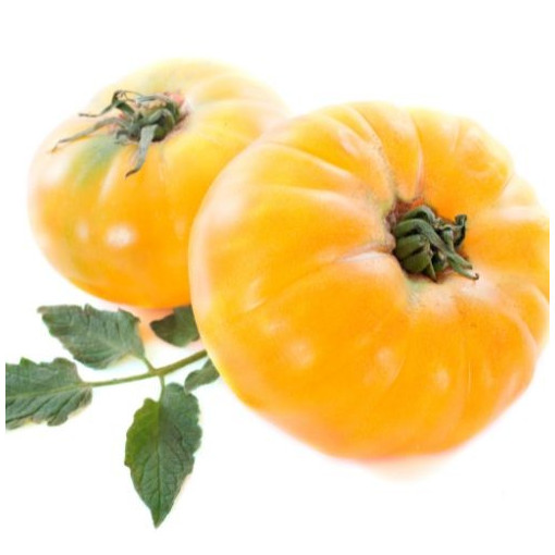 Tomate ananas pièce 1,2kg (CAMBON)