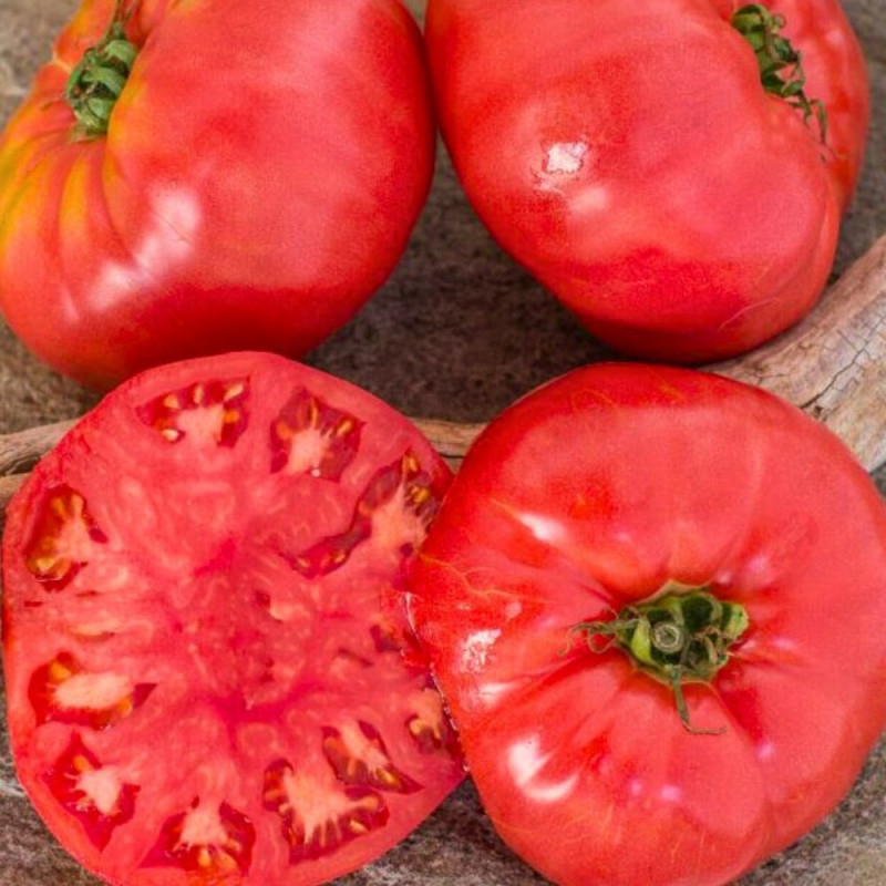 Dernières Tomates ! "variétés anciennes" BIO env. 950/1kg (Fauch)