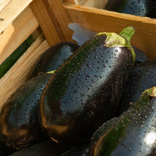 Aubergines env.700/800g