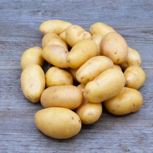 Pomme de terre GRENAILLE "Bintje"  (frites et purées) env.950/1kg