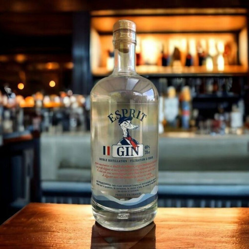 Esprit Gin - Gin artisanal français distillé 2 fois - 70 cl - 40%