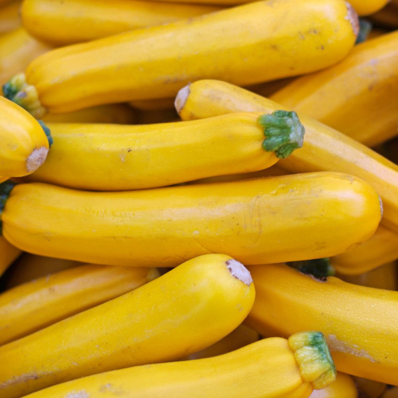 Destock ! Courgettes JAUNE BIO env.950/1kg (fauch)