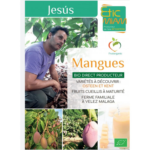 Mangue "Osteen" BIO 1 pièce 300 / 400g