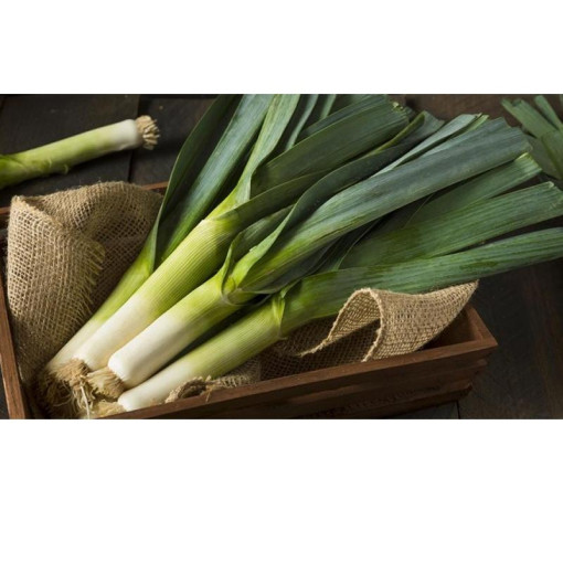 Botte de Poireaux Agriculture Raisonnée Tarn 1kg