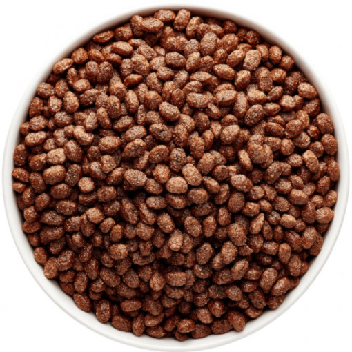 Céréales Choco Crisp BIO 800g