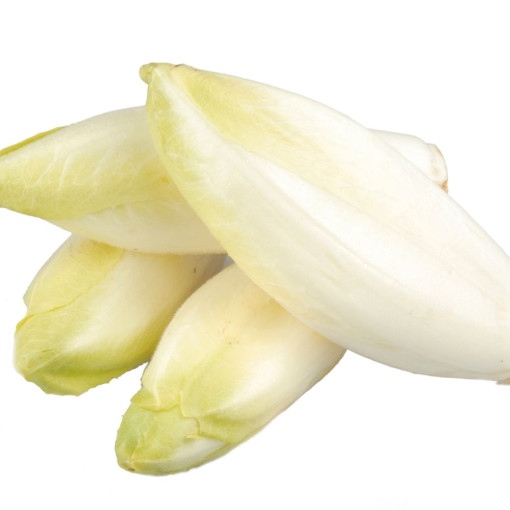 "DESTOCK" Endives env 450/500g