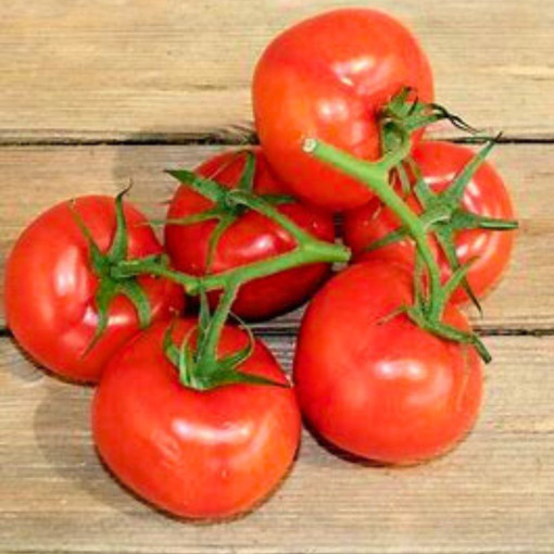 Tomates rondes env. 950/1kg