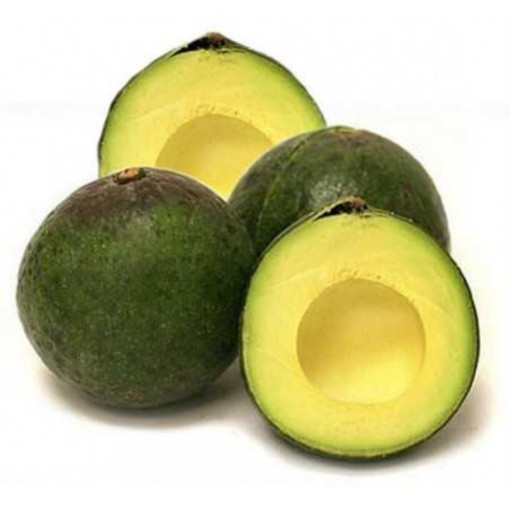 Avocat BIO GROS+ "REED" +200g x 1 pièce
