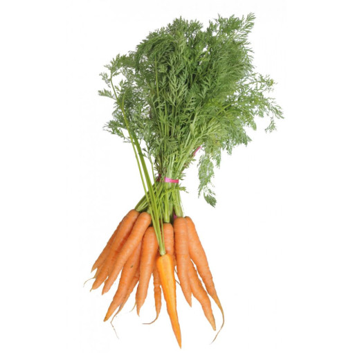 Carottes env 950g/1kg