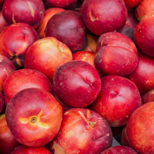 Nectarines env. 950/1Kg