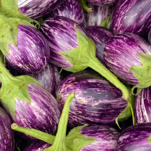 Courgettes  env.1kg