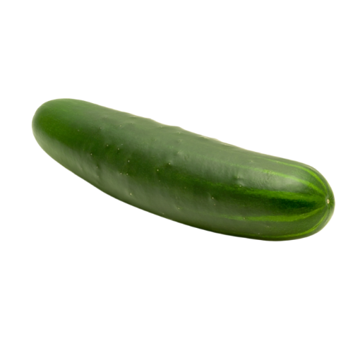 "DISPO dès VENDREDI 17h"  Concombre Noa x 1
