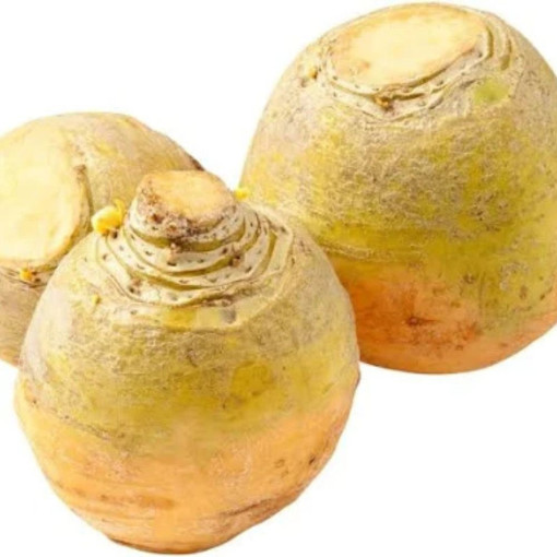 Botte de Poireaux Agriculture Raisonnée Tarn 1kg