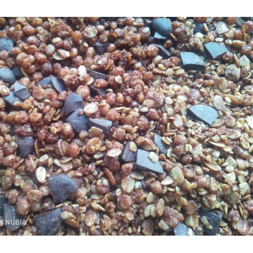 Muesli SANS GLUTEN & SANS SUCRE chocolat noir 300g