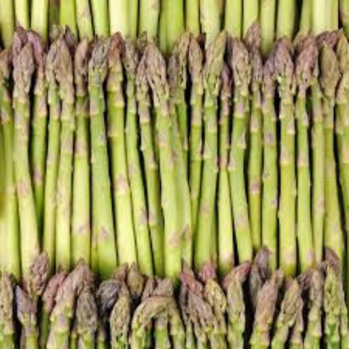 Asperge BLANCHE Fraiche à Albi