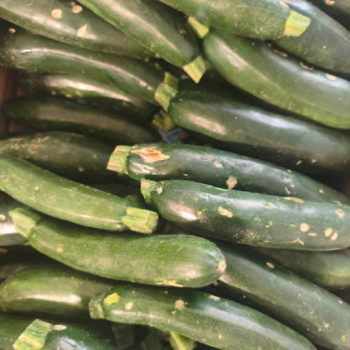 Courgettes  env.1kg