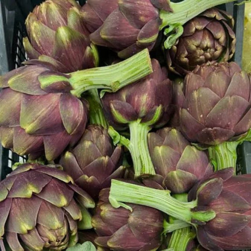 Artichaut Violet 950g/1kg