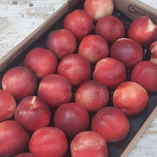 "DISPO dès VENDREDI 17h" Nectarines plateau 30 pièces env. 2.2kg (petits calibres)