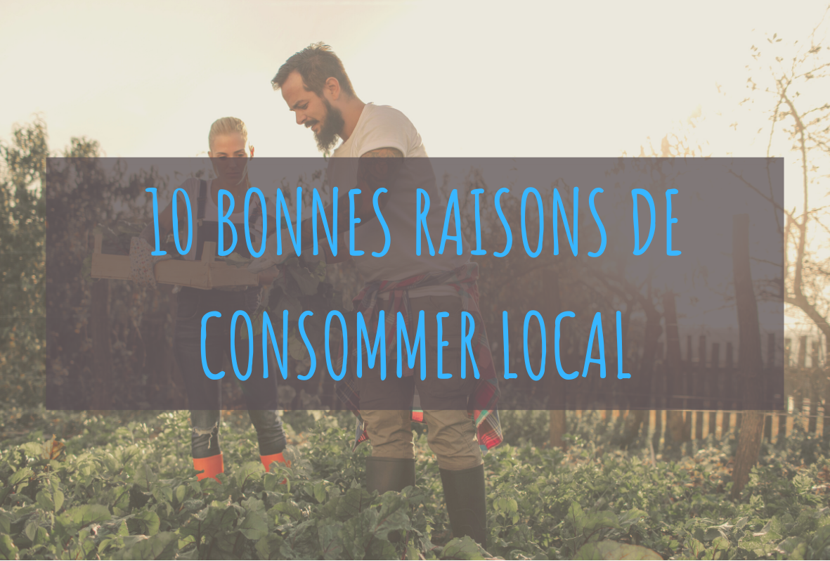 10 bonnes raisons de consommer local